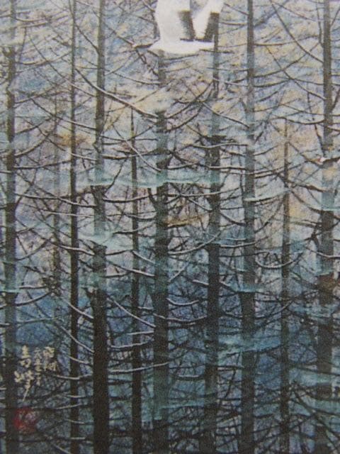 笠青峰、【飛翔】、希少な額装用画集より、新品額装付、状態良好