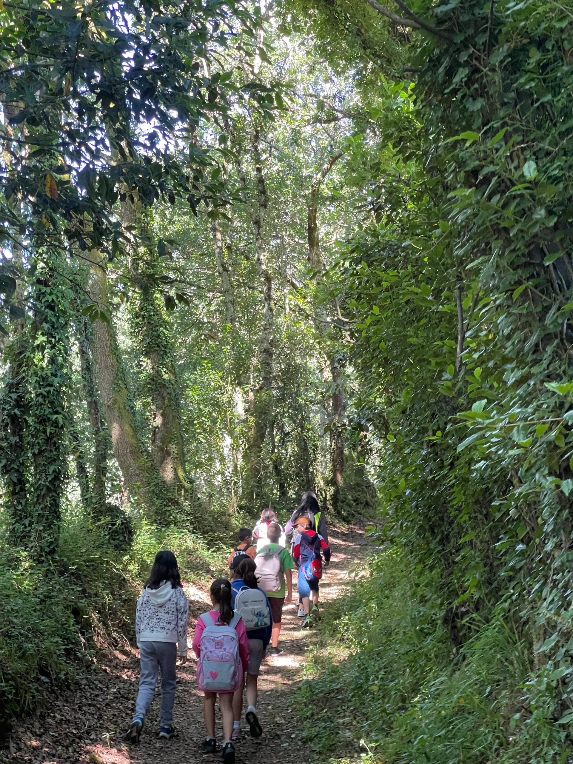 11zon_CAMPAMENTOS18